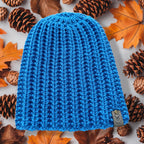 Beanie Model Roy