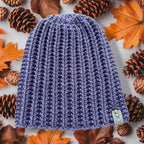 Beanie Model Roy