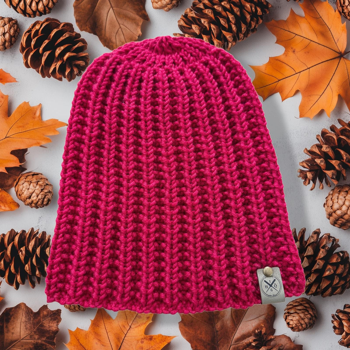 Beanie Model Roy