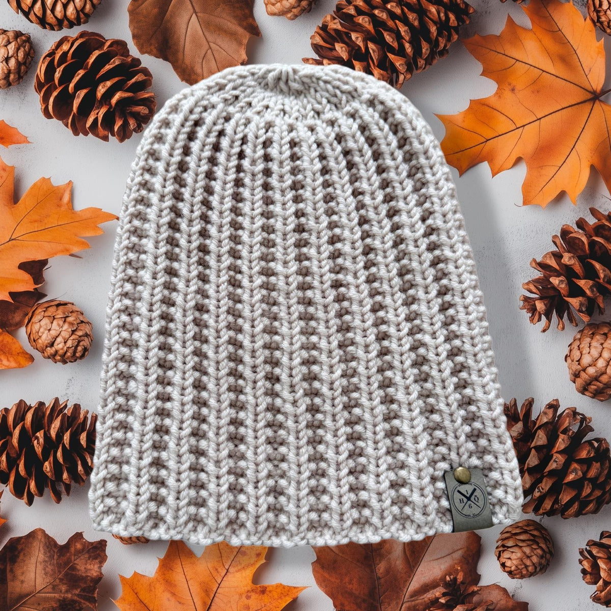 Beanie Model Roy