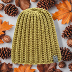 Beanie Model Roy