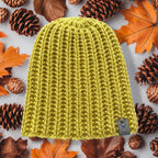 Beanie Model Roy
