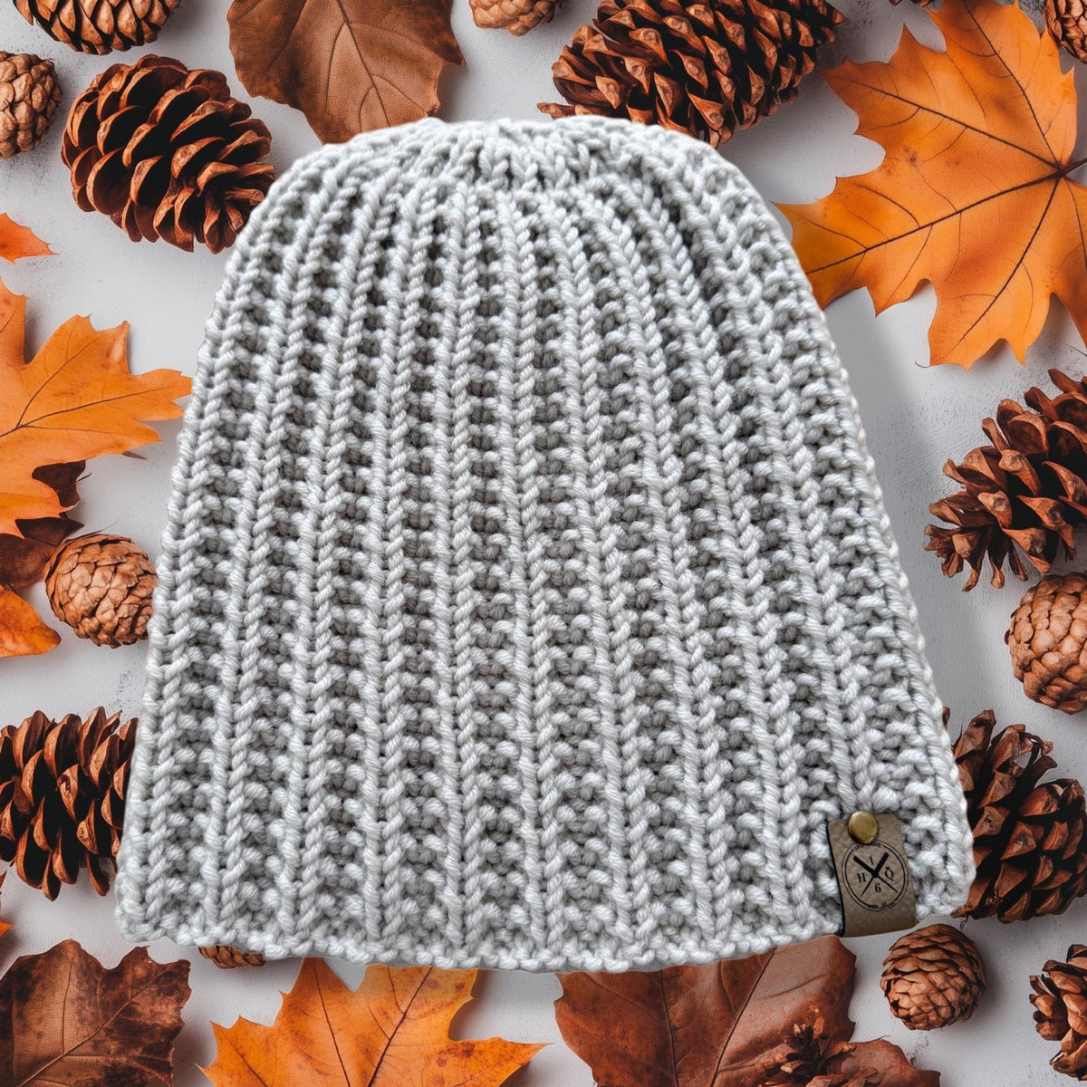 Beanie Model Roy